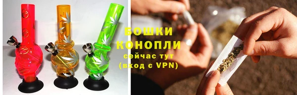 сатива Куйбышев
