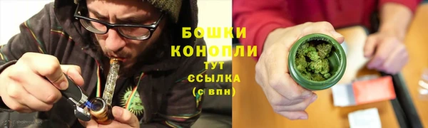 сатива Куйбышев