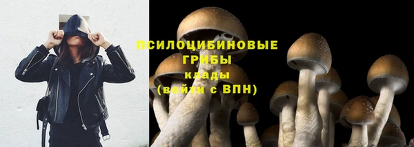 сатива Куйбышев