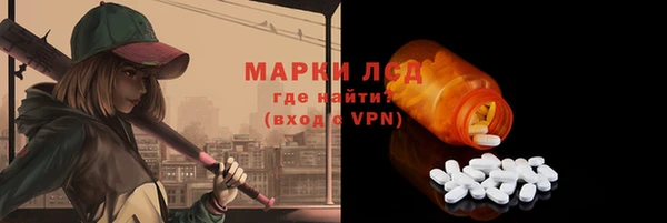 гидра Снежногорск