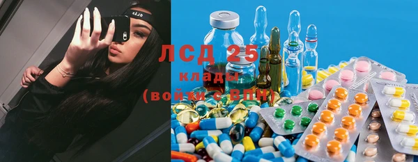 сатива Куйбышев
