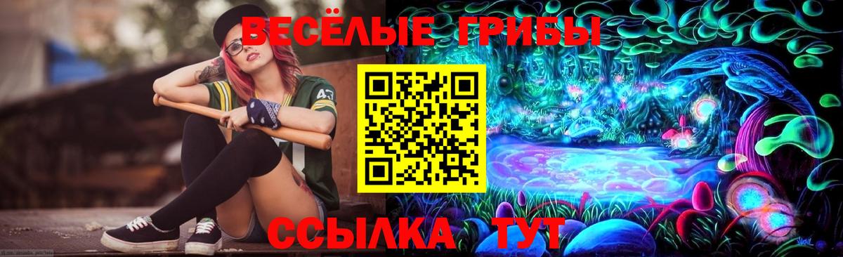 Псилоцибиновые грибы ЛСД  Псилоцибиновые грибы мицелий  Ростов-на-Дону  Вход с VPN 
