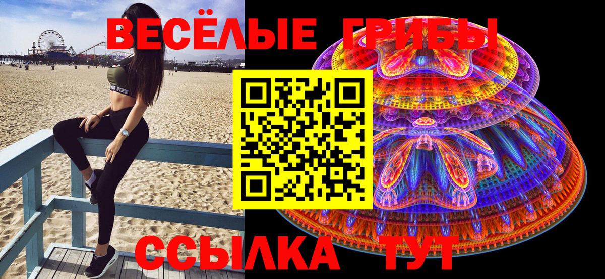 Галлюциногенные грибы Cubensis  Ростов-на-Дону  Галлюциногенные грибы прущие грибы 