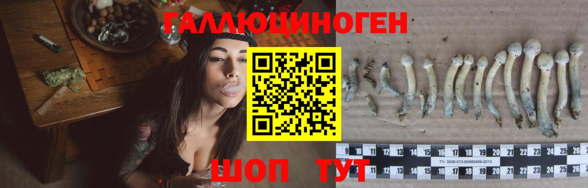 Галлюциногенные грибы Psilocybe Ростов-на-Дону